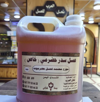 عسل سدر حضرمي